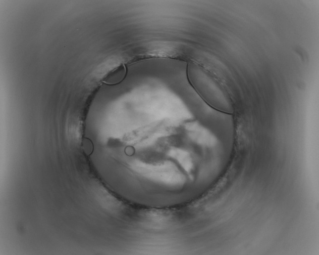 X0000113880305200910221402