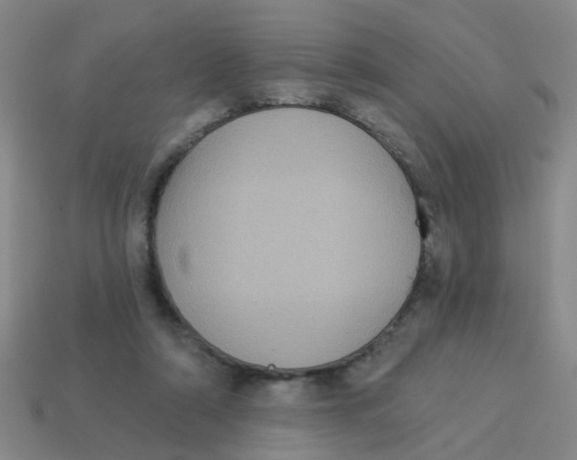 X0000113880306200910221401