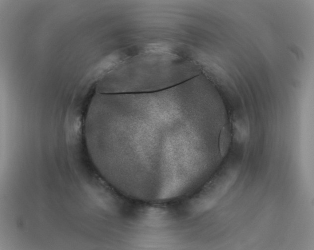 X0000113880308200910221401