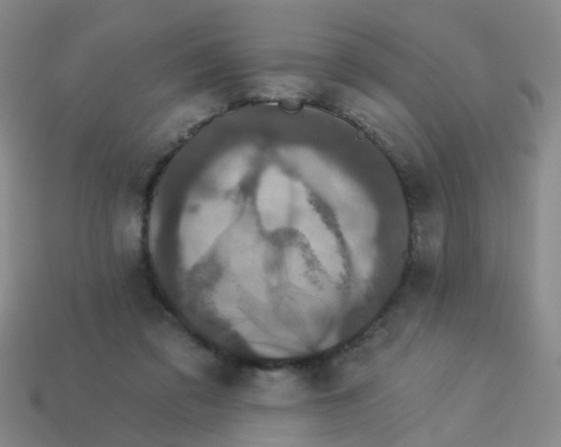 X0000113880309200910221401