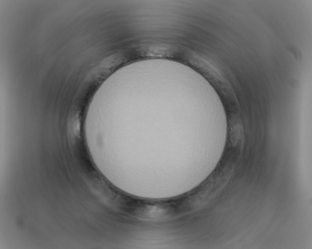 X0000113880310200910221401