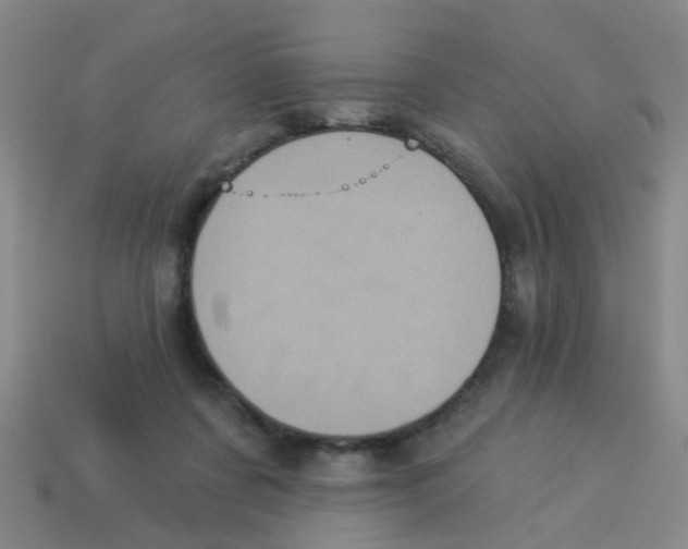 X0000113880311200910221401