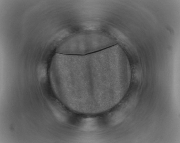 X0000113880312200910221401