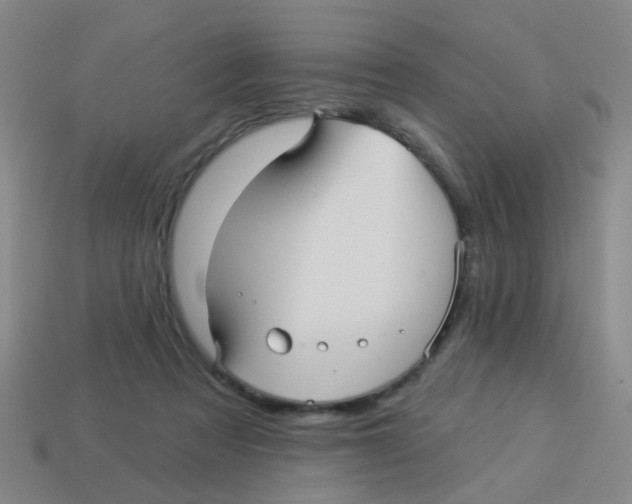 X0000113880313200910221401