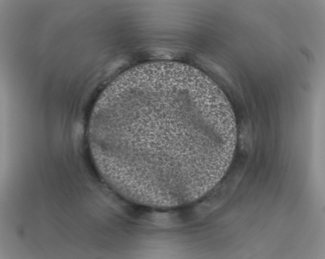 X0000113880314200910221401
