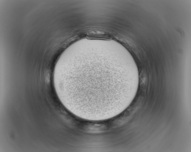 X0000113880315200910221401