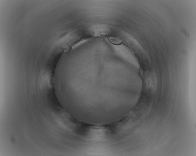 X0000113880316200910221401