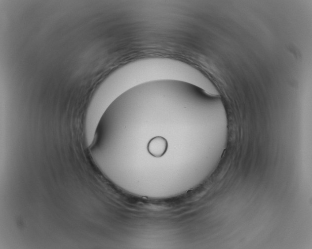 X0000113880317200910221401