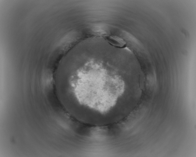 X0000113880320200910221401