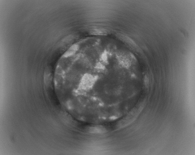 X0000113880322200910221401