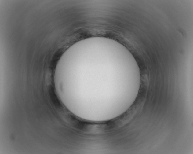 X0000113880323200910221401