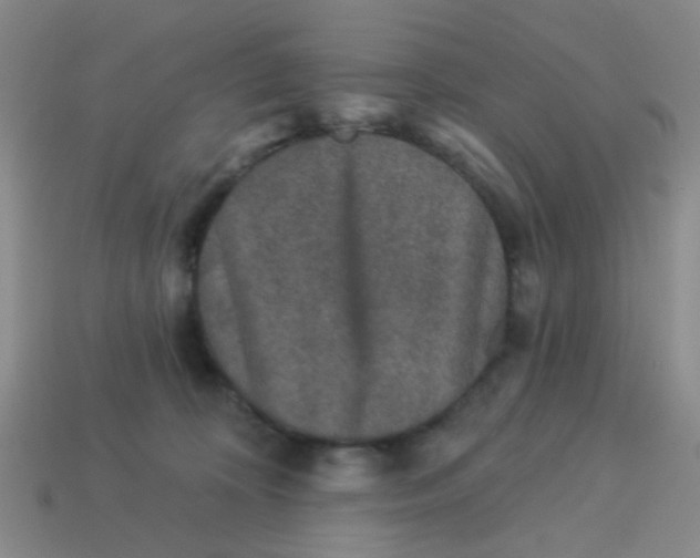 X0000113880324200910221401