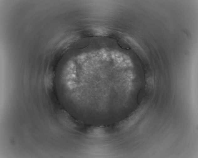 X0000113880325200910221401