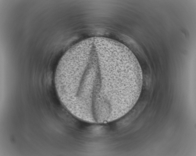 X0000113880326200910221401
