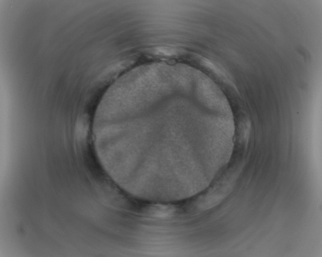 X0000113880328200910221401
