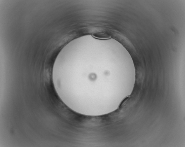 X0000113880329200910221401