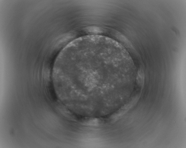 X0000113880330200910221401