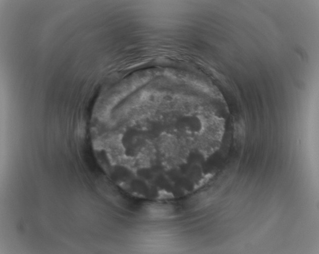 X0000113880331200910221401