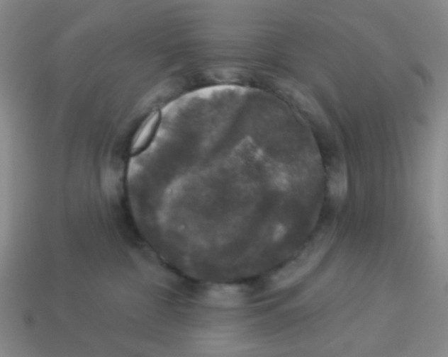 X0000113880332200910221401