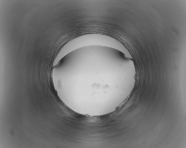 X0000113880333200910221401