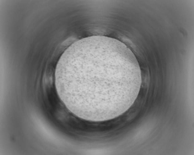X0000113880334200910221401
