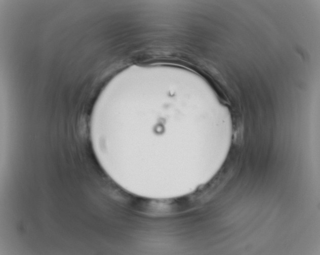 X0000113880335200910221401