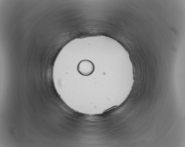 X0000113880336200910221401