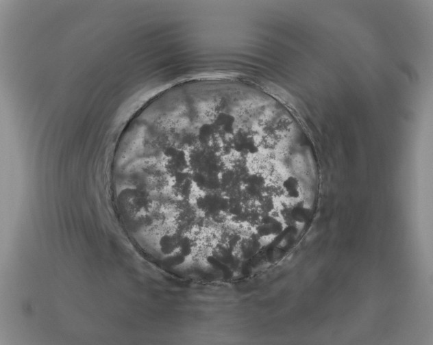 X0000113880337200910221400