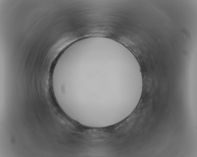X0000113880338200910221400