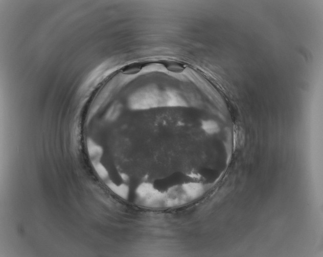 X0000113880339200910221400