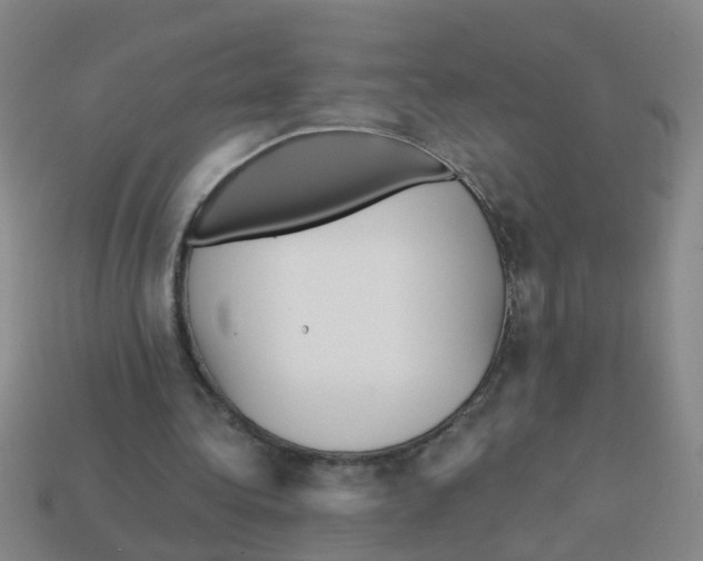 X0000113880340200910221400