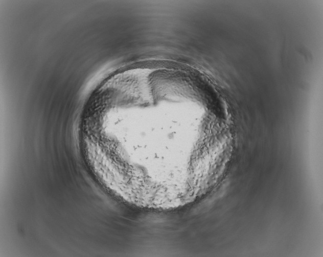 X0000113880341200910221400