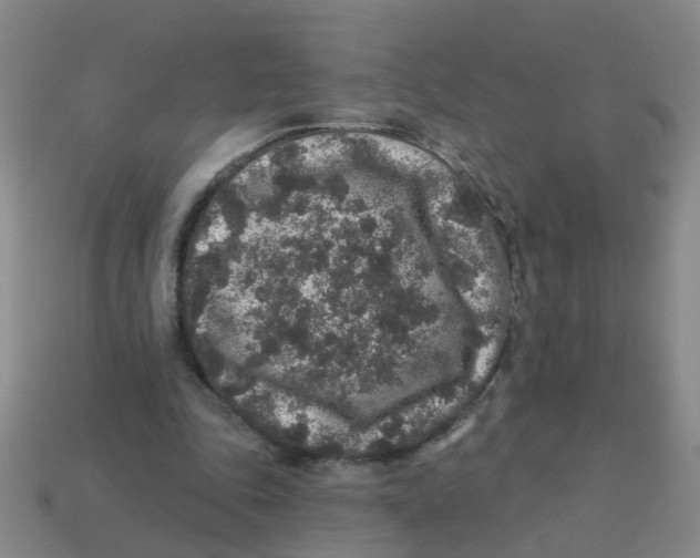 X0000113880343200910221400