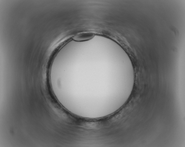 X0000113880344200910221400