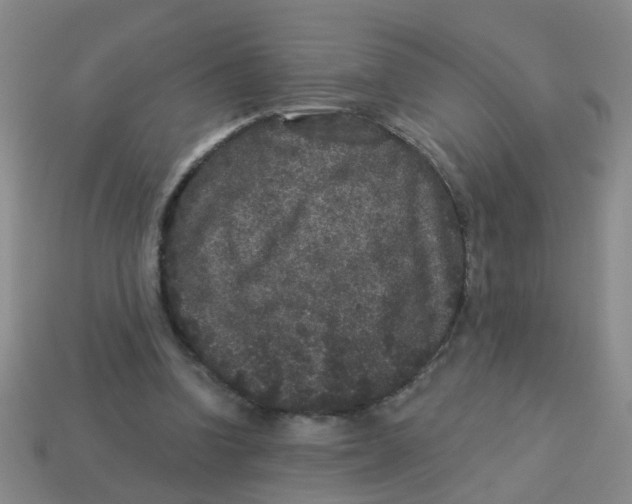 X0000113880346200910221400
