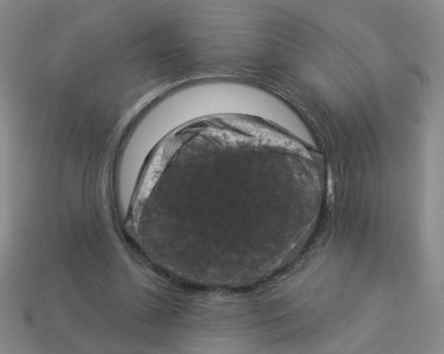 X0000113880348200910221401
