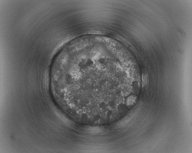 X0000113880349200910221401