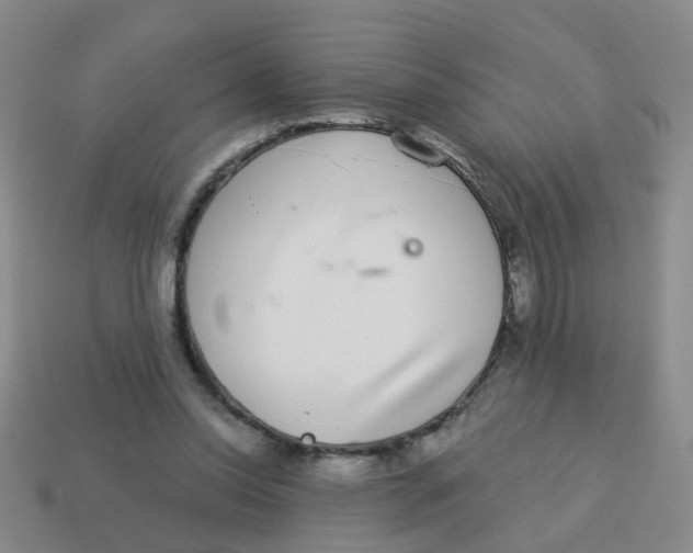 X0000113880350200910221401