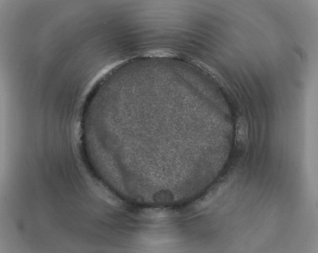 X0000113880351200910221401