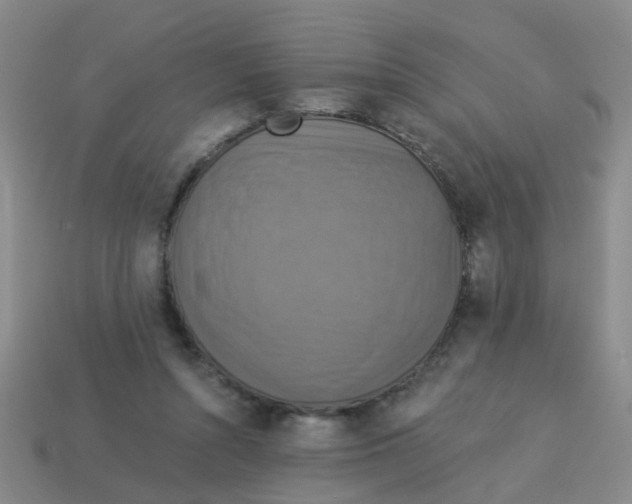 X0000113880352200910221401