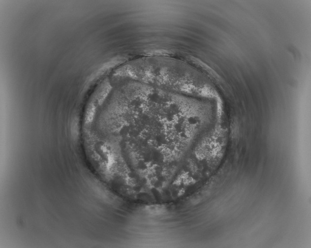 X0000113880353200910221401