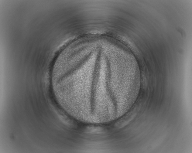 X0000113880354200910221401