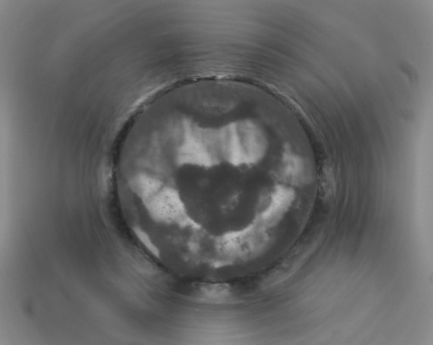 X0000113880355200910221401