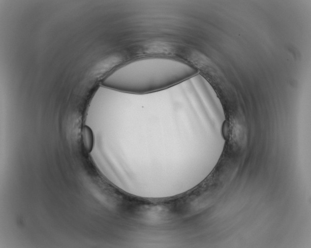 X0000113880356200910221401