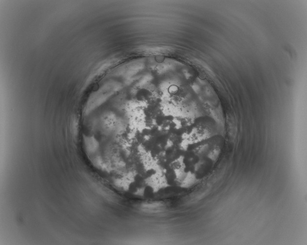 X0000113880357200910221401