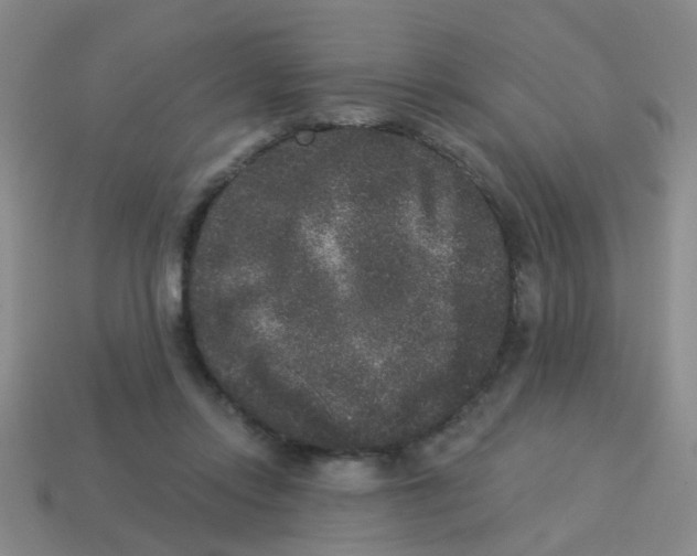 X0000113880358200910221401