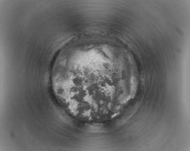 X0000113880359200910221401
