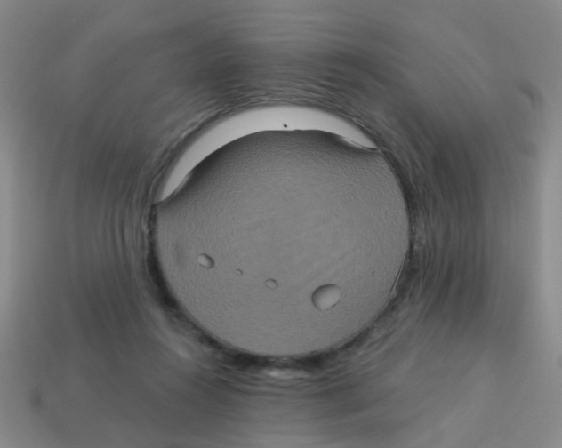 X0000113880360200910221401