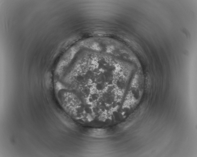 X0000113880361200910221401