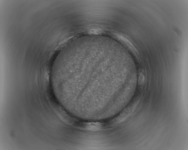 X0000113880363200910221401